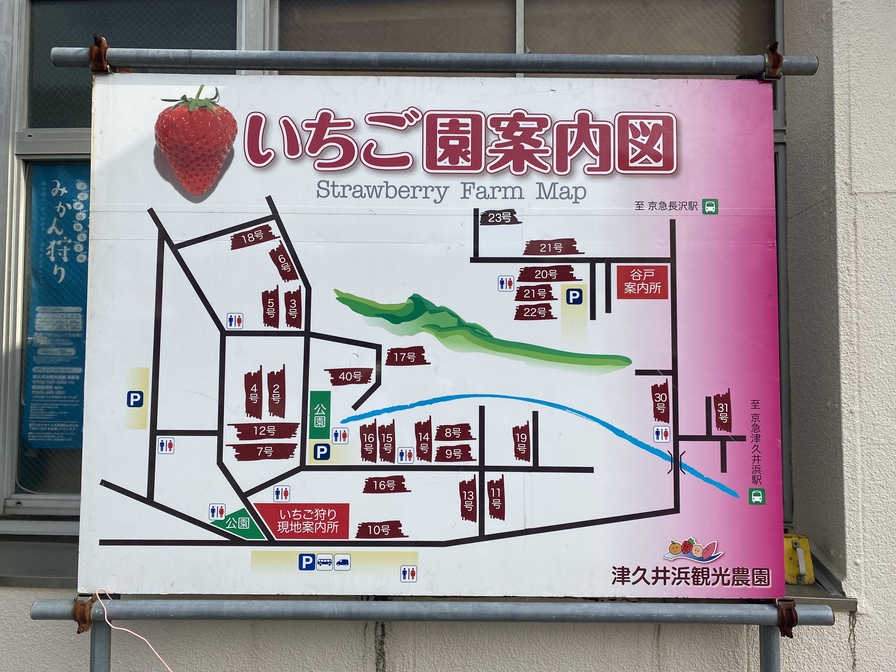 津久井浜観光農園　マップ