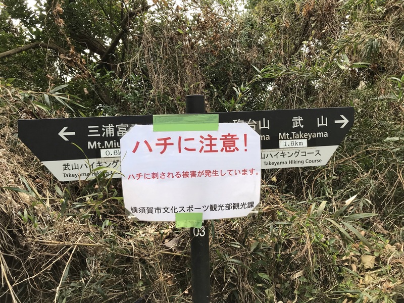 武山ハイキングコースハチ注意