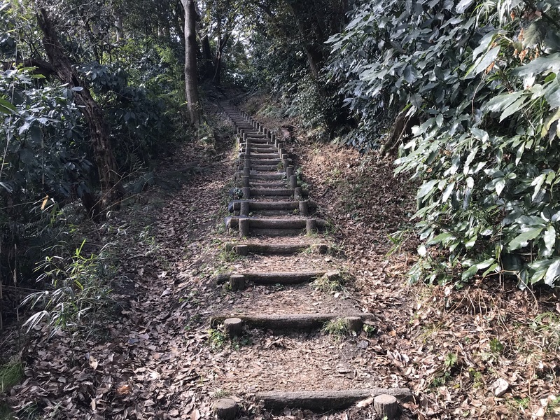 武山ハイキングコース階段