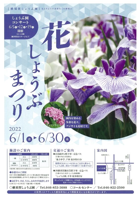 横須賀しょうぶ園　花しょうぶまつりチラシ