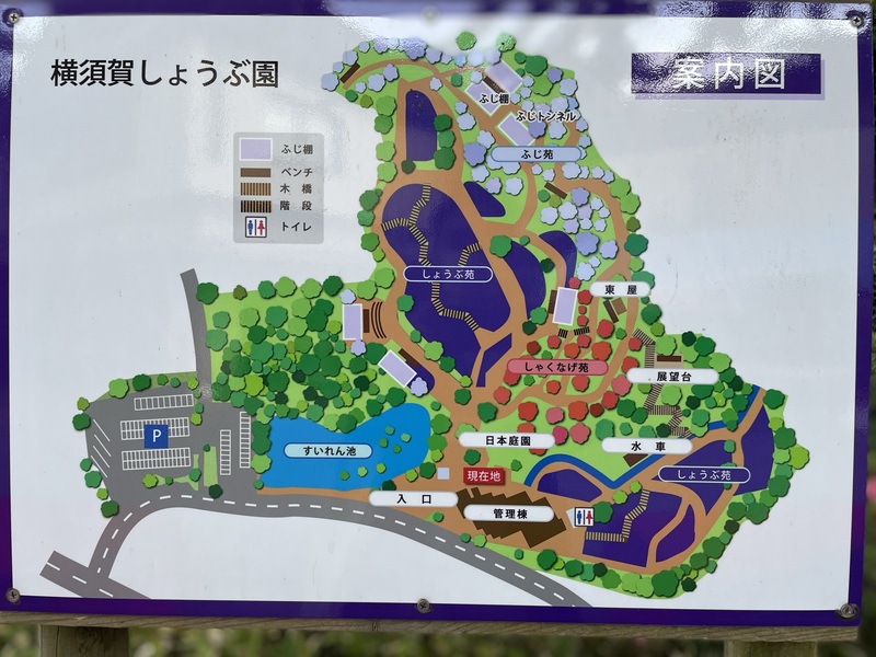 横須賀しょうぶ園　案内図