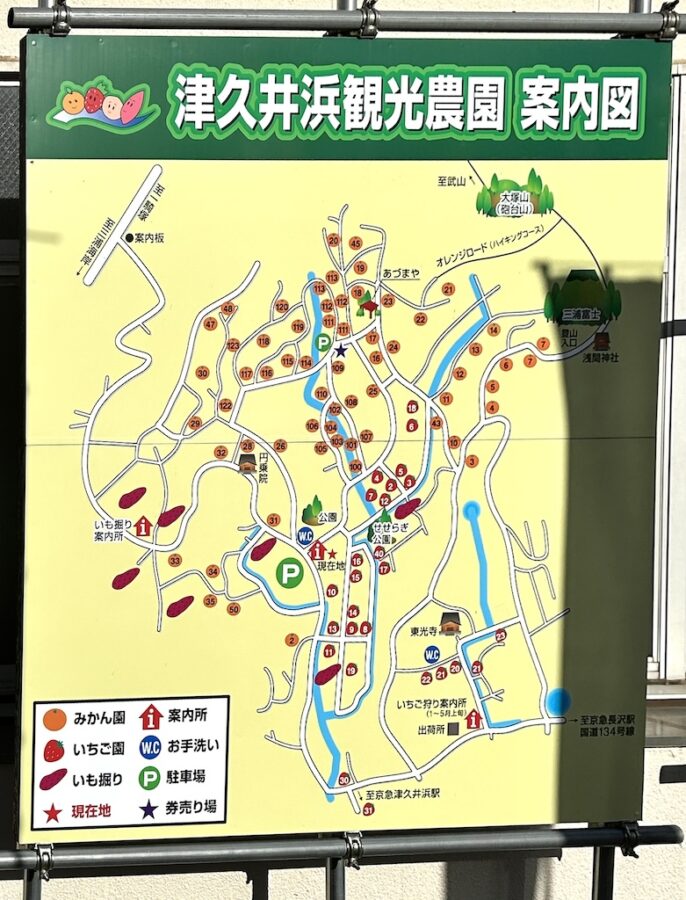 津久井浜観光農園　地図