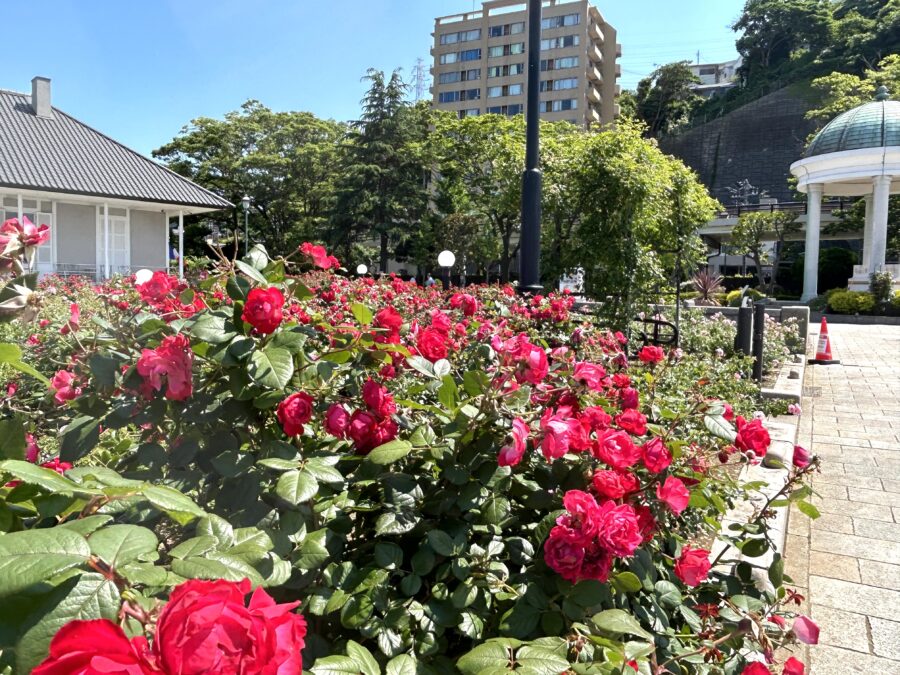 ヴェルニー公園
バラ園
横須賀観光
汐入