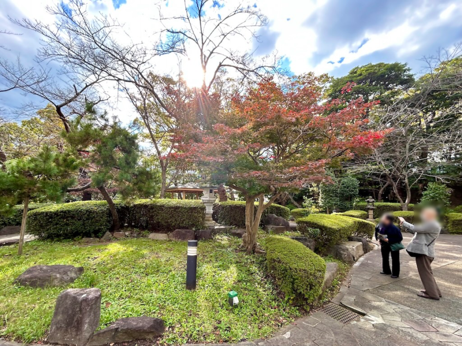 田戸台分庁舎庭園