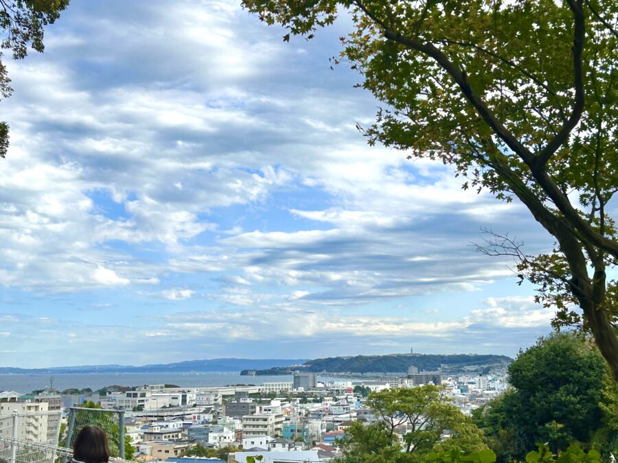 浦賀水道の眺め