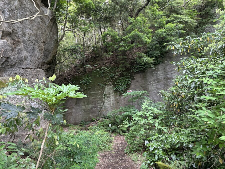 鷹取山 崖