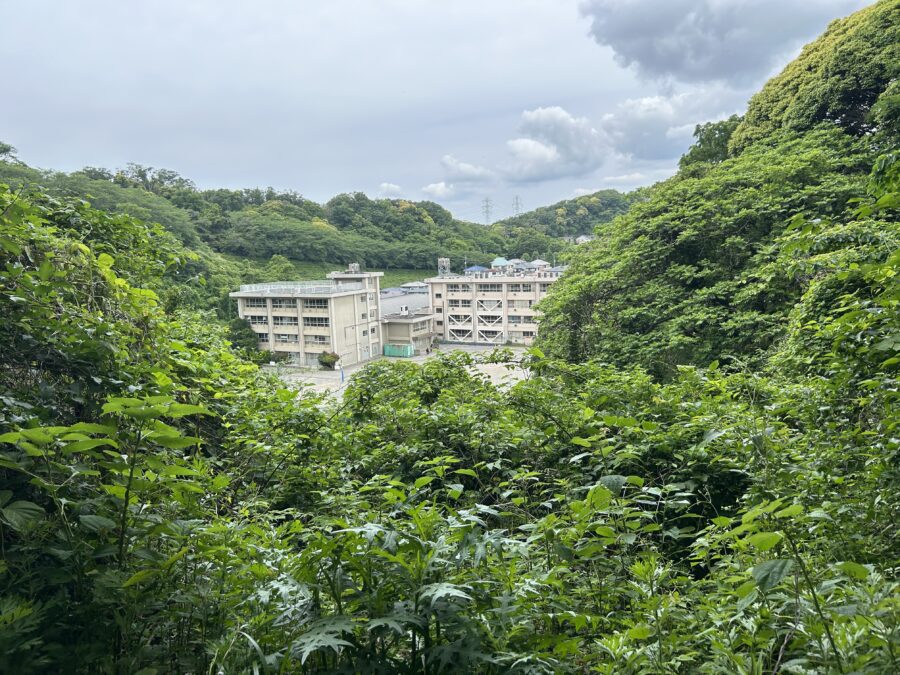 鷹取山から見た鷹取小学校
