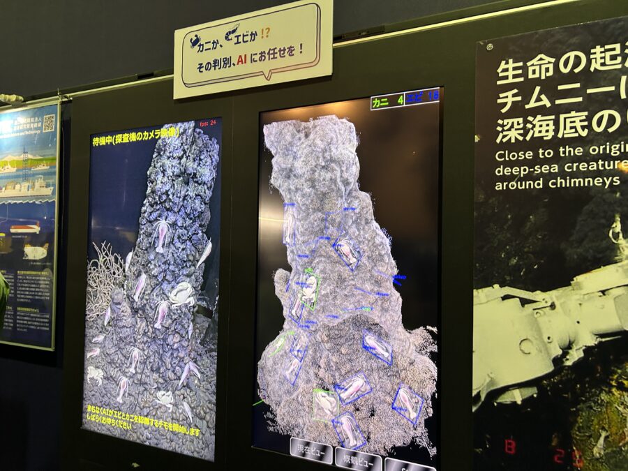 JAMSTEC横須賀本部一般公開 カニか、エビか!?その判別、AIにお任せを!