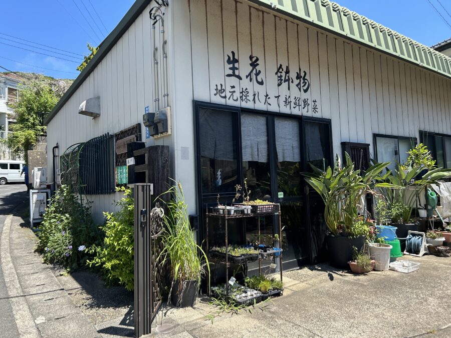 地元とれたて新鮮野菜を取り扱うお店