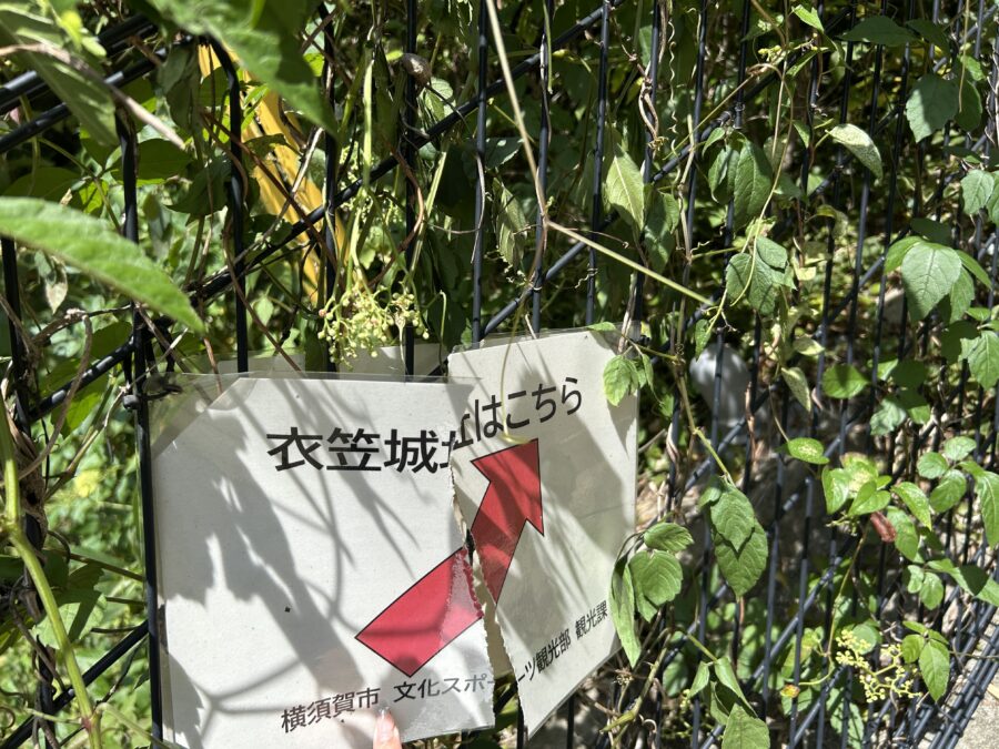 衣笠城址はこちら