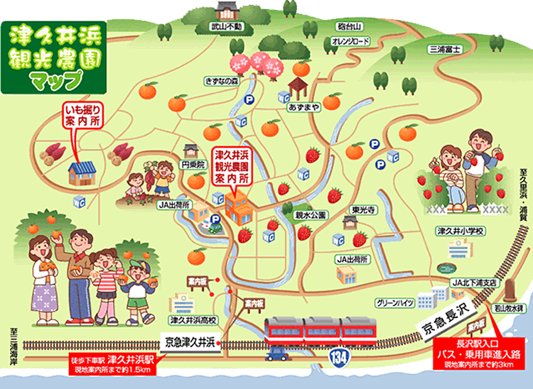 津久井浜観光農園 マップ