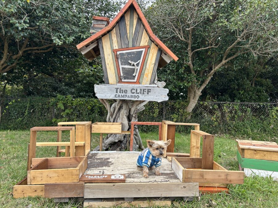 フォトスポット