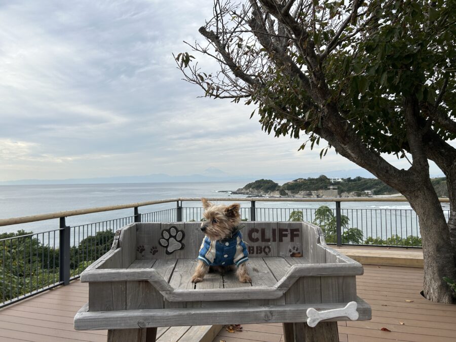 フォトスポット