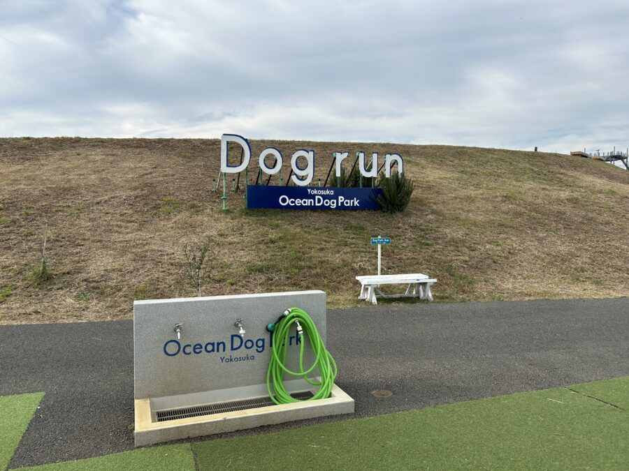 オーシャンドッグパークヨコスカ