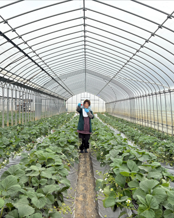 津久井浜Hajime Farm