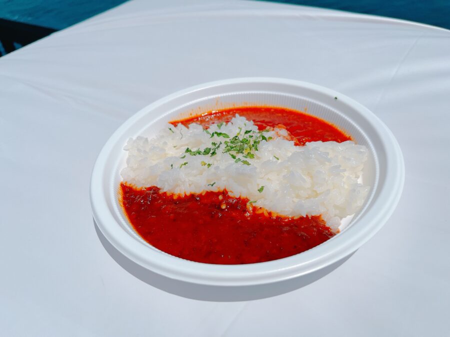 赤・黒2色の無水キーマカレー