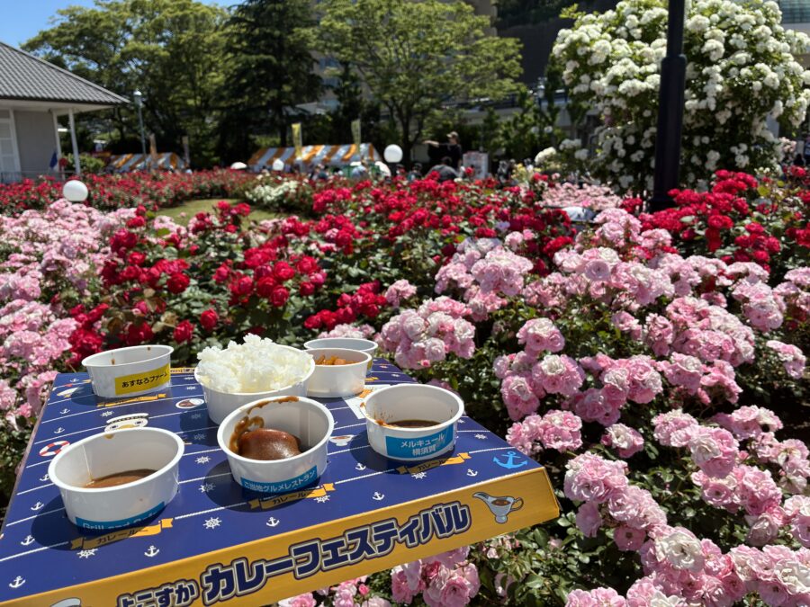 よこすかカレーバイキングとカレー